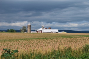 Farm Proposed for Solar Utility